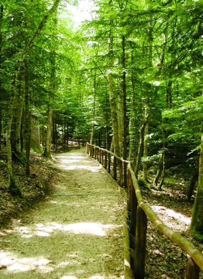 San Pietro Avellana B & B Il Tratturo المظهر الخارجي الصورة